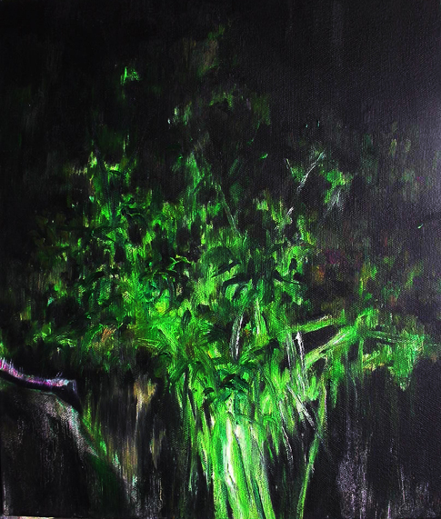 ҹ��ģ��ϵ��