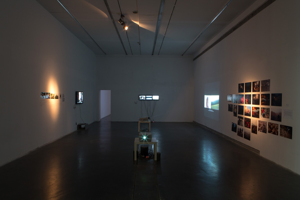 SEE/SAW�й��������崴��ʵ��